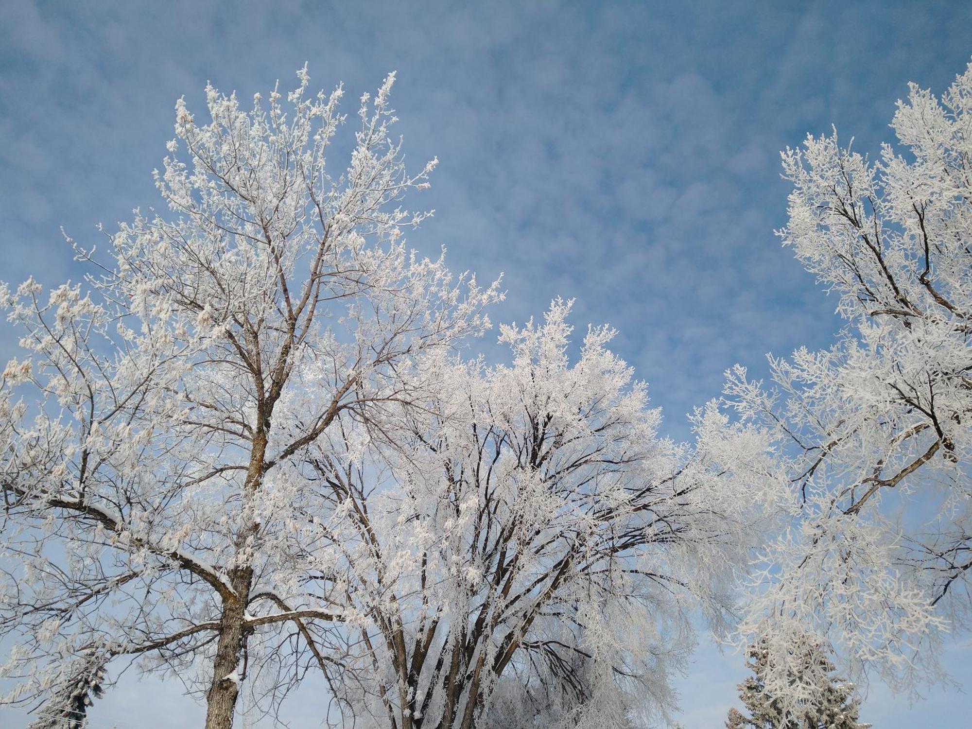 U Of A Homestay, Trails & Whyte Ave Edmonton Cameră foto